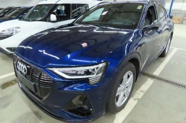 Audi e-tron S line 55 quattro *NIGHT VISION